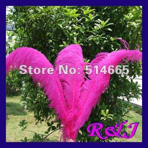 Wholesale 20PCS 26-28inch 65-70cm fushia OSTRICH FEATHER real ostrich drab feather EMS Free Shipping
