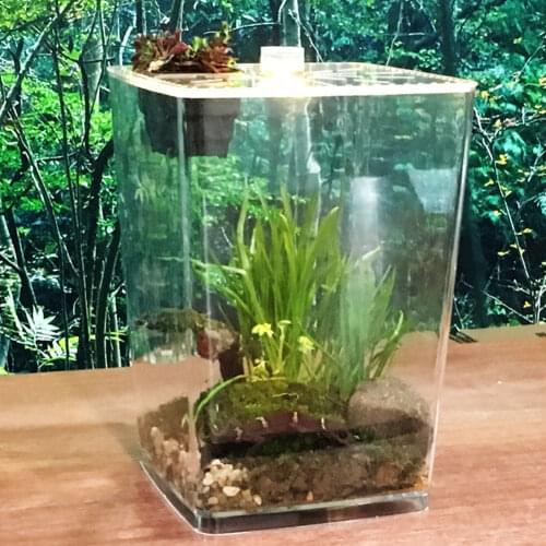 Transparent Reptile Box Acrylic Reptile Breeding Tank Plastic Spider Scorpion Pet Desktop Hatching Breeding Box Ornamental Box