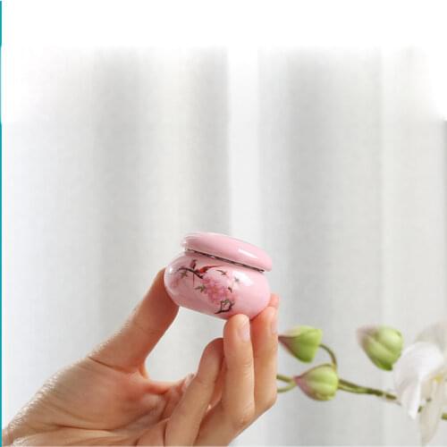 Animal urns pets birds cats dog ashes porcelain jars for cremation souvenirs baby mini styles moisture-proof and moisture-proof