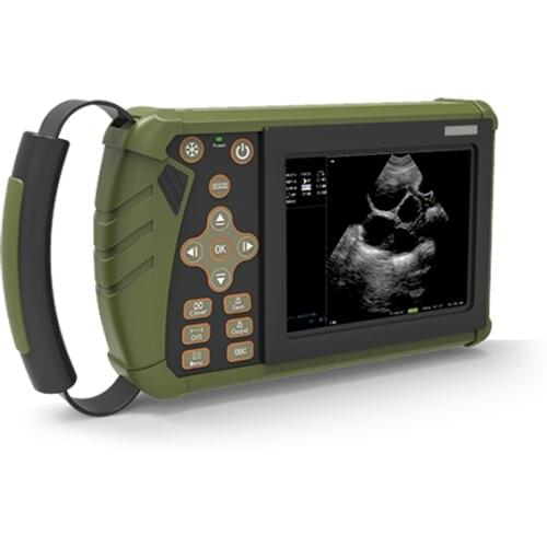 Farm ultrasound scanner for sheep, goat, horse, dog vet veterinary ultrasound