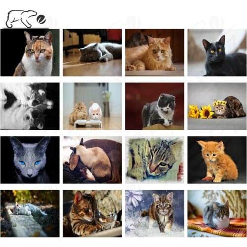 Handsome Cat Pictures Diamond Painting Cross Stitch Modern Cute Pet Pictures Handmade Diy Diamond Embroidery Decoration