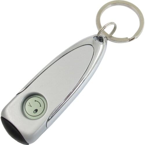 Silver Tone LCD Anti-static Static Discharger with Metal Keyring