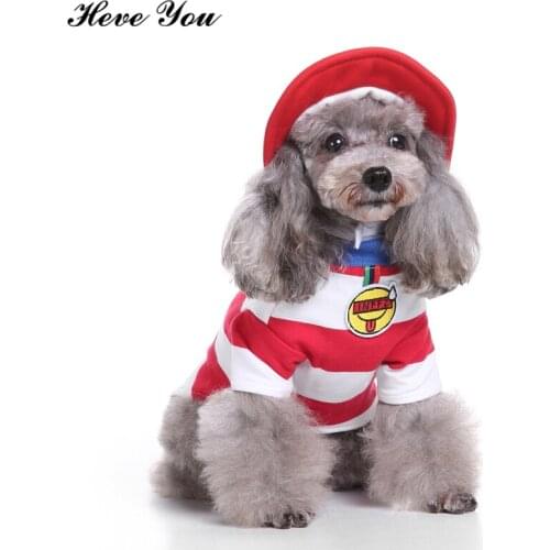 Heve You Costumes For Dogs