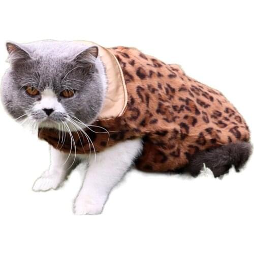 Pet Shirt Coat Wool Material Casual Style Fur Colour High-Quality Comfortable Health Safety Fabrics Fine Workmanship 2021 New