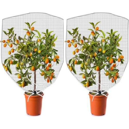 Anti-Bird Mesh Grape Net Garden Plant Fruit Protection Net Vegetable Grapes Apple Fruit Protection Bag Agricultural Pest Control