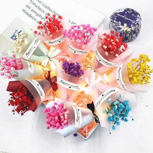 1PC Colorful Dried Flowers Small Natural Dried Floral Plants Mini Real Bouquets Home Decoration Photography Props Art Craft