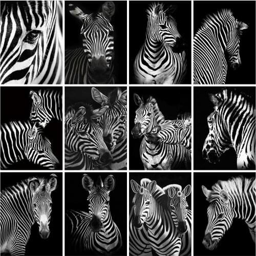 Huacan Dianmond 5d Zebra Full Square Diamond Art Embroidery Cross Stitch Black And White Animal Handicraft Home Decor