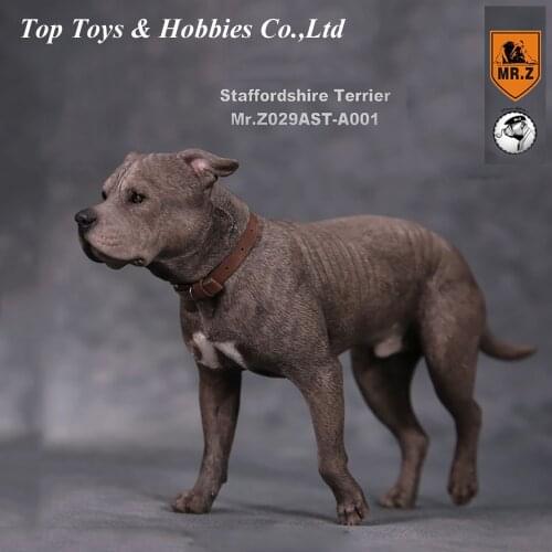 1/6 Collectible Figure Scene Accessories Mr.Z Real Animal NO. 29 American Staffordshire Terrier Posture with Exchanged Head