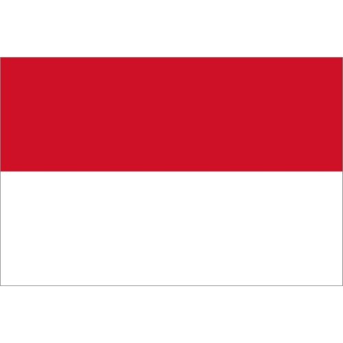 Indonesia Five ,100% Real Genuine Comemorative Note,Original Collection