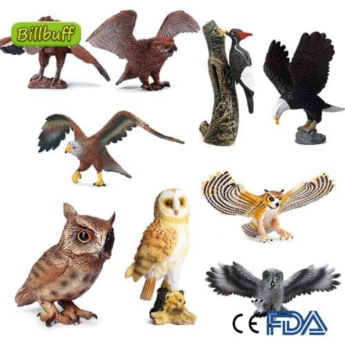 Simulation Wild Animals Eagle Owl Sea Eagle Cub Birds Model Figures Collection Cognition Educational Toys for Children Kids Gift