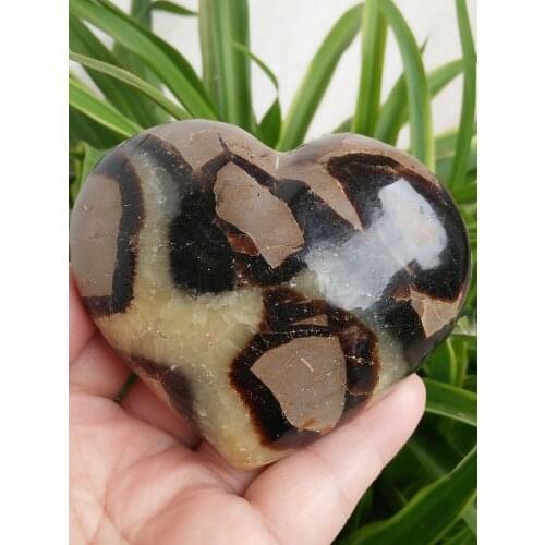 Natural Energy Stone Turtle Ancient Rock Specimen Heart-shaped
