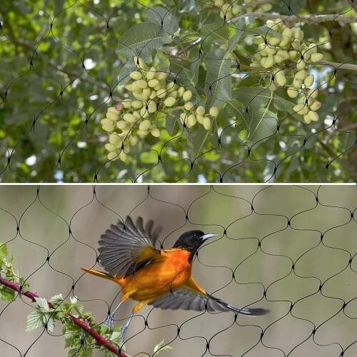 4Mx10M Anti Bird Netting, Reusable Protective Garden Netting, Fruit Tree Netting Protect Plants Blueberries Vegetables