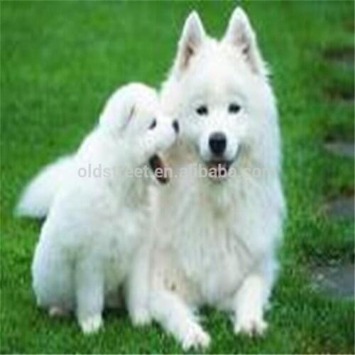 SNA Products For Embroidery