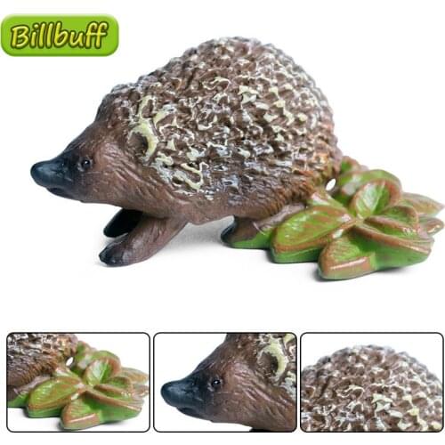 DIY Simulation Wild Animals PVC Hedgehog Action Models Figures Collection Miniature Cognition Educational Toys for Children Gift
