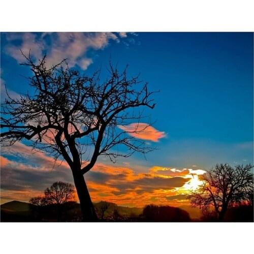 DIY Diamond Painting By Number Kit,Crystal Rhinestone Diamond Embroidery Paintings for Home Wall Decor Sunset Tree