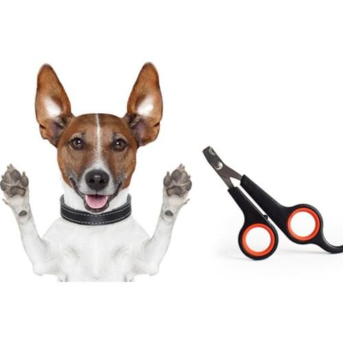 New Multicolor Pet Dog Cat Nail Clipper Professional Cutter Stainless Steel Grooming Clippers Scissors for Puppy Dog Cat Clipper