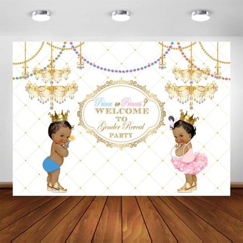 Gender Reveal Party Backdrop Princess or Prince Baby Shower Decoration Banner Photo Background for Photography Pictures