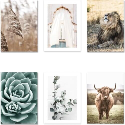 Prairie Lion Wall Posters and Prints Highland Cattle Wall Art Canvas Prints for Living Room Succulent Green Plant Picture Poster