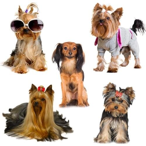 Three Ratels QD102 HD pixel cute Yorkshire terrier Waterproof dog sticker Vinyl auto Wrap for car hood laptop home decora decals