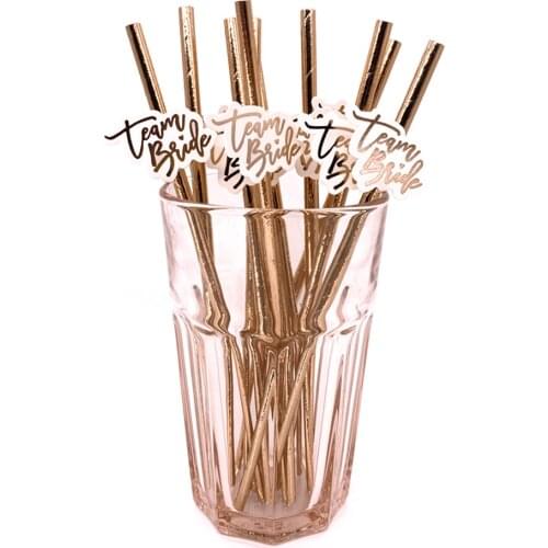 10Pcs Rose Gold Team Bride Straws Hen Party Bachelorette Wedding Party Decoration Supplies