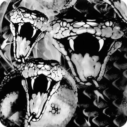 HLC-050 hydroprint film water transfer printing flames skulls measures: width: 50cm. Length: 100cm