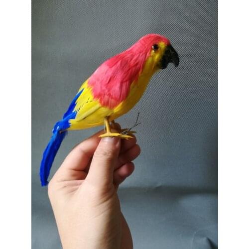 About 20cm real life Bird beautiful feathers parrot bird model home decoration filming prop decoration toy gift h1050