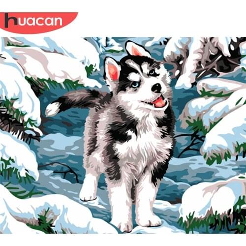 HUACAN Paint By Number Dog Animals Kits Drawing Canvas DIY Pictures Hand Painted Gift Acrylic For Home Decor Artwork