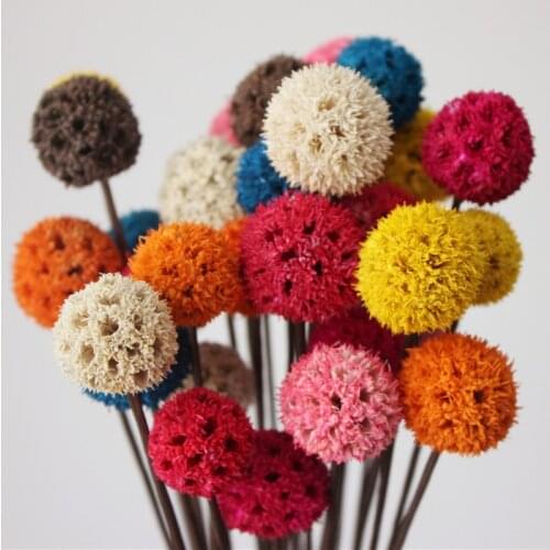 20pcs,Natural Graft Dried Flower Bunch with wire stem,Eternal flower for Wedding home Decoration accessories,display flowers