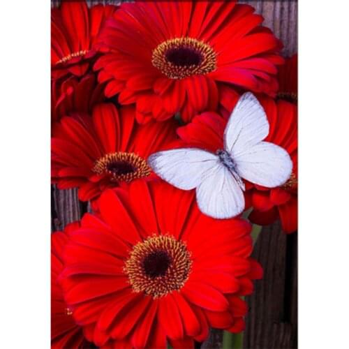 5D DIY Diamond Painting Flower Painting Square Round Diamond Embroidery Painting Red Daisy Home Decoration Cross Stitch WG2264