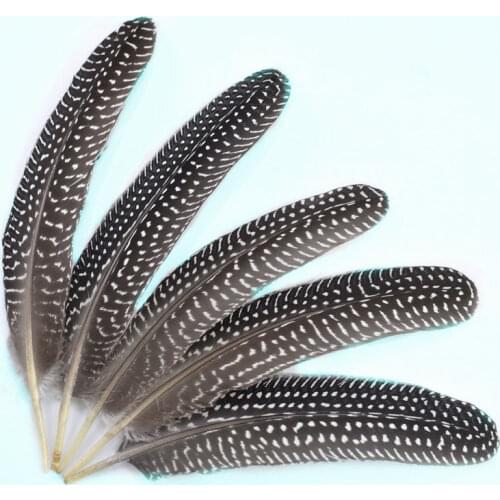 10Pcs beautiful natural pheasant feathers crafts 15-20cm DIY colorful Chicken feathers party decorations Home wedding plumes