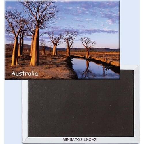 SOUVEMAG Refrigerator Magnets 21045,Boab Trees on Kimberley Plateau Australia Souvenirs of Worldwide Landscape Store