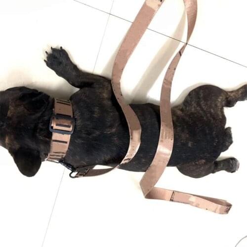 Fashion Collar For Dogs Pet Leashes Collar Set Nylon Puppy Harness Small Cat Fat Dog French Bulldog Pug Schnauzer Pet Products