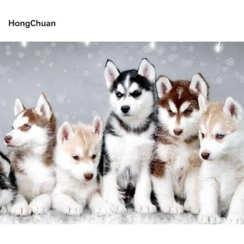 DIY diamond painting husky puppy 5D square/round diamond inlaid rhinestone pictures mosaic cross stitch home decoration gifts