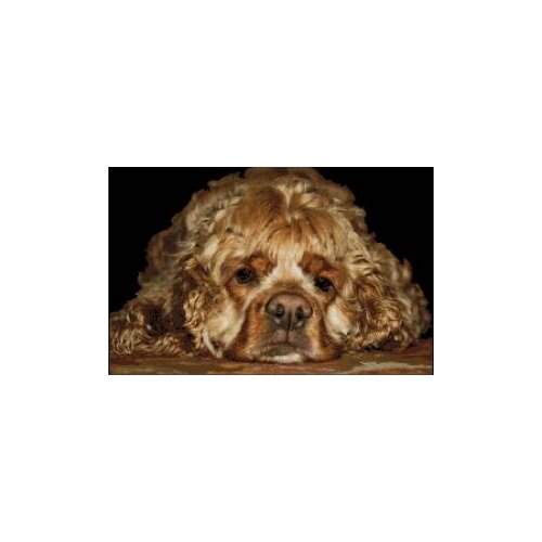 Dog Sleeping on Tummy Sewing Kit Top Quality Embroidery Needlework 14CT Unprinted Cross Stitch Kits DIY Handmade Home Decor