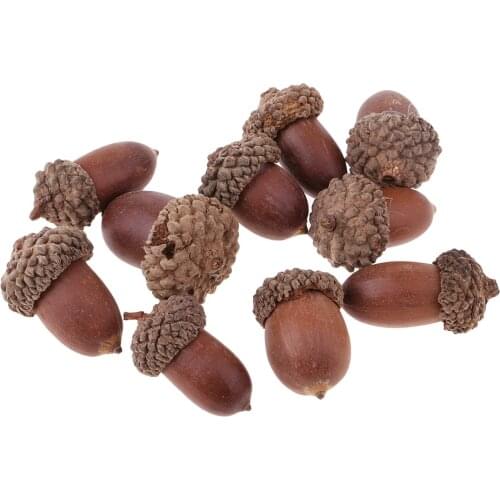 10 pieces of Natural Acorns mini dried oak nuts fruits home wedding christmas tree decorations DIY Craft Supplies