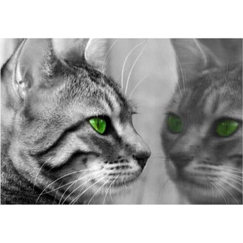 5d diamond embroidery Animal Green eyes Cat Reflection full round square rhinestone picture diy diamond paintingZP-3551