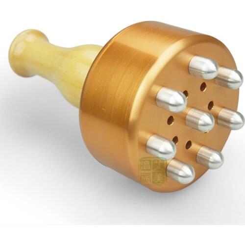 Home health 2-IN-1 moxibustion device meridian magnet Pressotherapy therapy massage brush lymphatic massager guasha tool