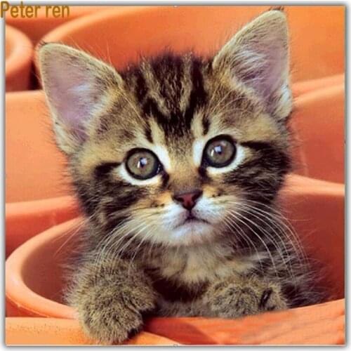 Diy Diamond painting animal cross stitch Full diamond embroidery cat round\square diamond mosaic home decor Kitten in the bucket