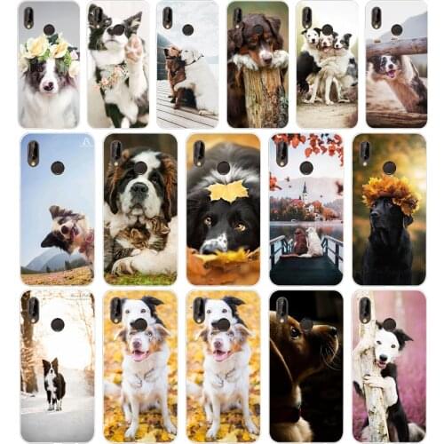 257H Cute Dog Cat Soft Silicone Tpu Cover Case for huawei p 20 lite pro y6 2017 mate 10 lite