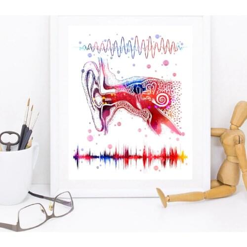 Ear System Medical Anatomy Wall Art Canvas Poster Prints Binaural Hearing Art Audio Wave Painting Clinic Doctor Office Decor