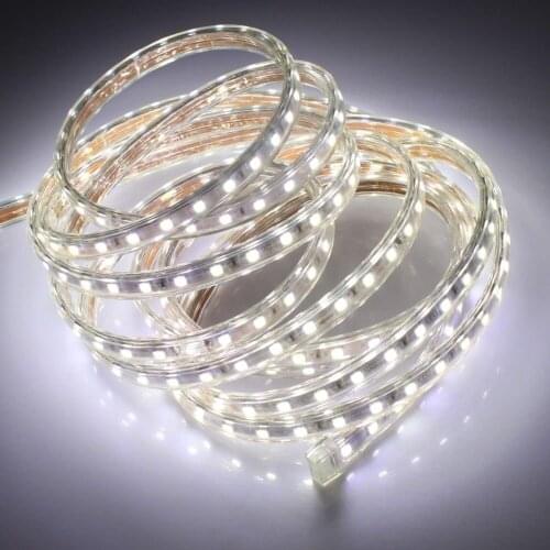 AC 110v 120v led strip light waterproof 5050 ip65 ip67 cool white wame white red green blue red outdoor led tape rope with plug
