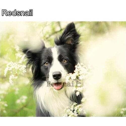 Border collie diamond painting Cross Stitch wall painting diamond embroidery dog animal,5D DIY Diamond Mosaic,Needlework TT836