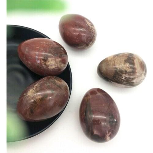 Drop Shipping 1PC Natural Crystal Fossil Wood Quartz Egg Shaped Polished Stones Healing Decor Gift Natural Stones and Crystals