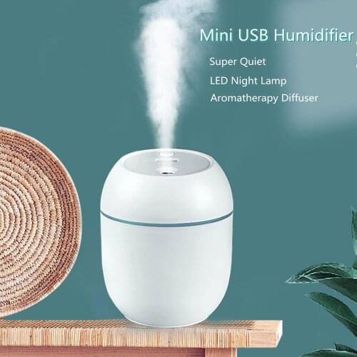 250ML Mini Air Humidifier Essential Oil Ultrasonic Aroma Diffuser for Home Car Fogger Mist Maker with Night Lamp Face Steamer