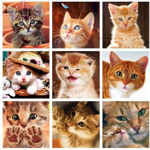 5D DIY Animal Kitten Cross Stitch Kit Diamond Embroidery Cute Orange Cat Diamond Painting Full Drill Rhinestone Home Decoration