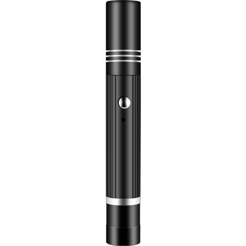 Cat moss lamp aflatoxin detection pen 365nm violet flashlight cat moss pet fungus detection