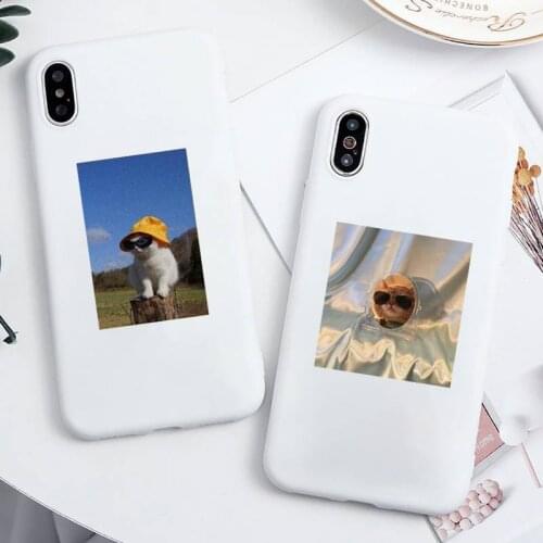 Funny Cute Cat Phone Case Candy Color for iPhone 6 6S 7 8 11 12 XS X SE 2020 XR mini pro Plus MAX funda