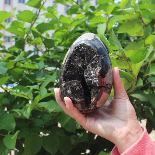 1220g Natural curvature of the furnishing articles Turtle grain stone egg Ball Septarian nodule Fossil Crystal Healing quartz