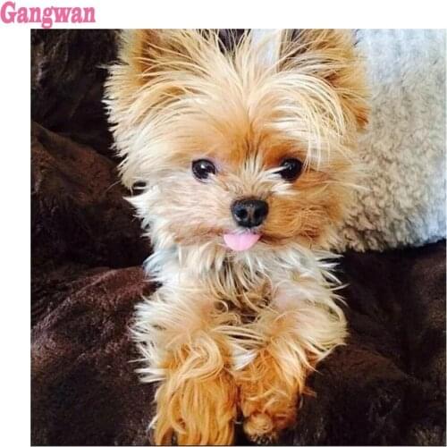 DIY Yorkshire Terrier Diamond painting Cross stitch kits cute dog Pictures of rhinestone For square mosaic full embroidery decor