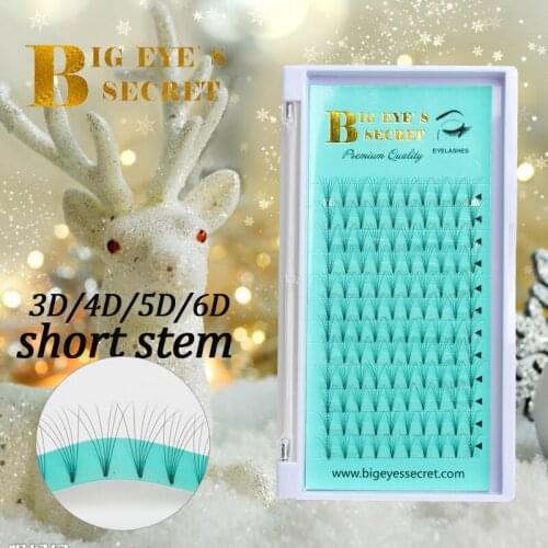 Big eyes secret Pre Made Fans Lash Extension 3d/4d/5d/6d D curl Premade Volume Fans Lash Russian Volume Eyelash Extensions